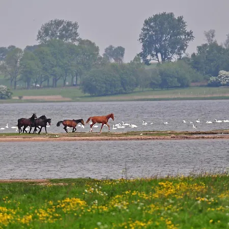 شقة Gollwitzer Park - Insel Poel-5 By Interhome *